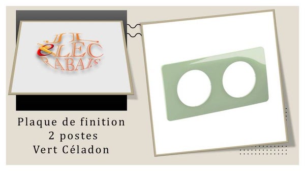 Plaque de finition " 2 postes VERT CELADON " Legrand Céliane