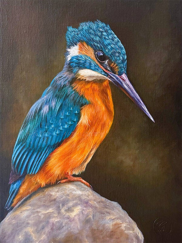 Bertje de ijsvogel | Limited Edition
