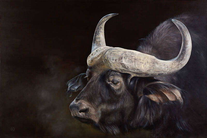 Afrikaanse Buffel realistisch kunstwerk olieverf schilderij