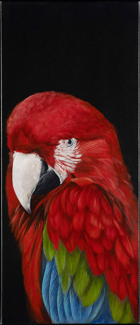 COCO | 70x30cm | SOLD