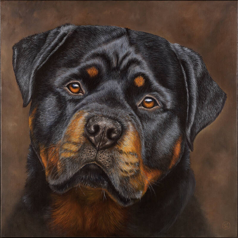 EROS | 90x90cm | SOLD