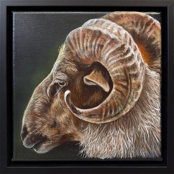 Fred het Drents heideschaap | origineel olieverf schilderij