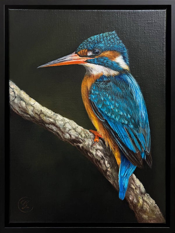 Gertje de ijsvogel | origineel olieverf schilderij