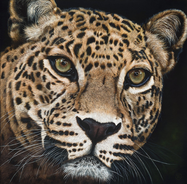 CHARLIE | origineel olieverf schilderij