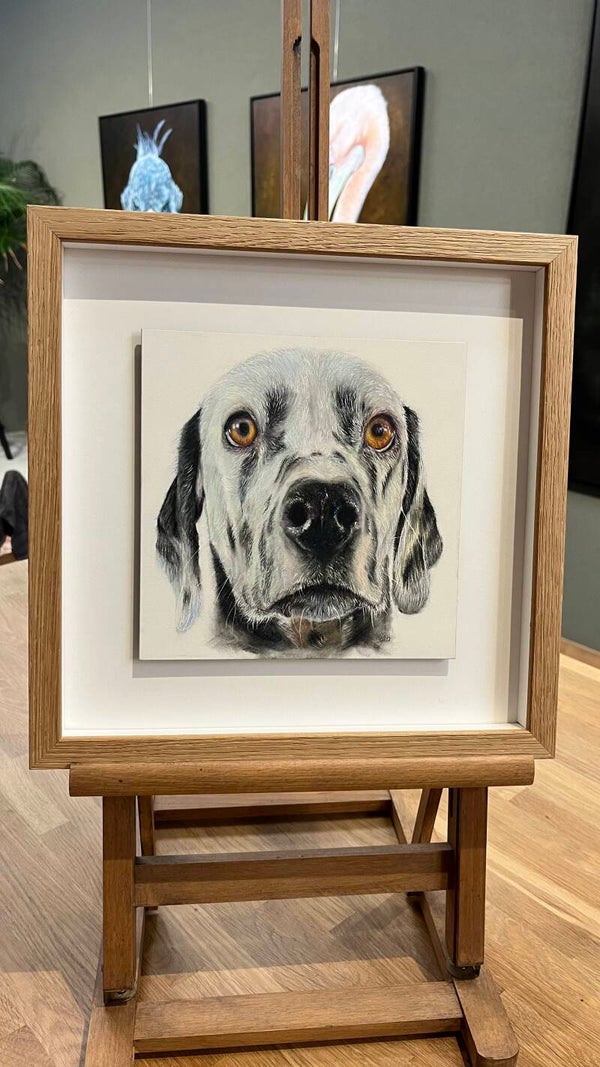 Hagel de Dalmatiër | pastel studie