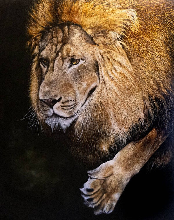 Max de leeuw | origineel olieverf schilderij