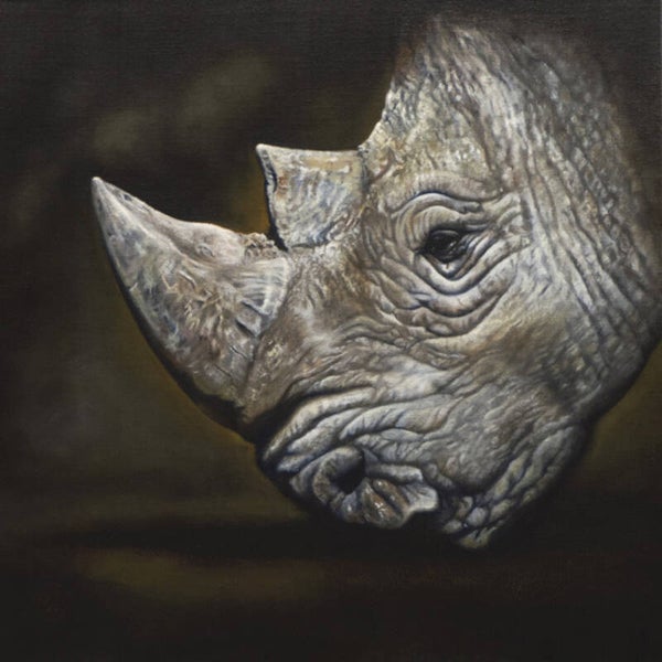 Nobby de neushoorn | origineel olieverf schilderij