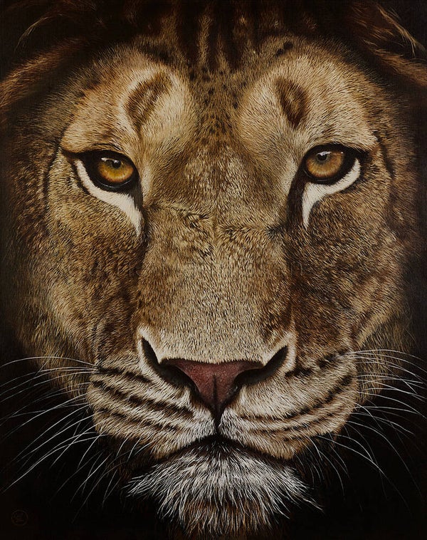 Queeny  de leeuw | Limited Edition