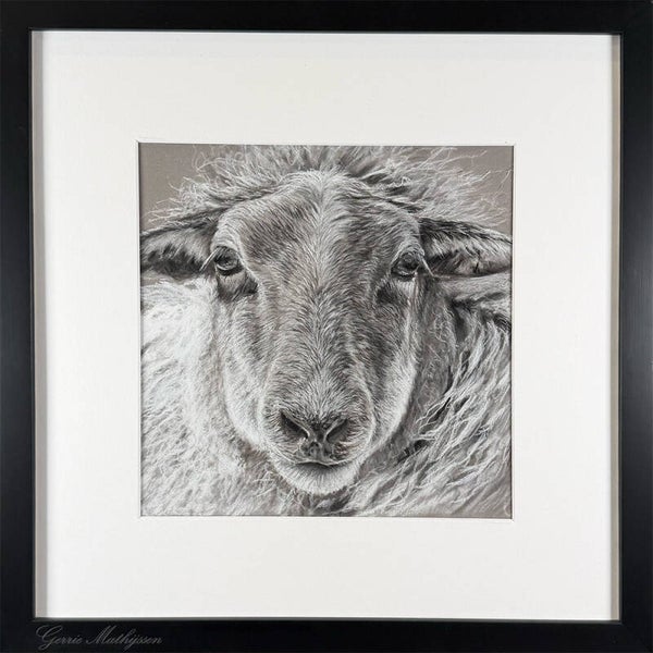 Schaap | origineel houtskool tekening