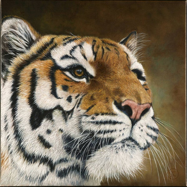 Simba de tijger | origineel olieverf schilderij