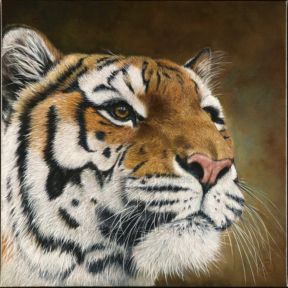 Wiite tijger olieverf schilderij door Gerrie Mathijssen