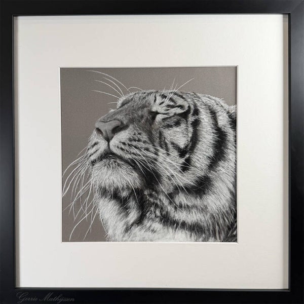 Tijger | Houtskool