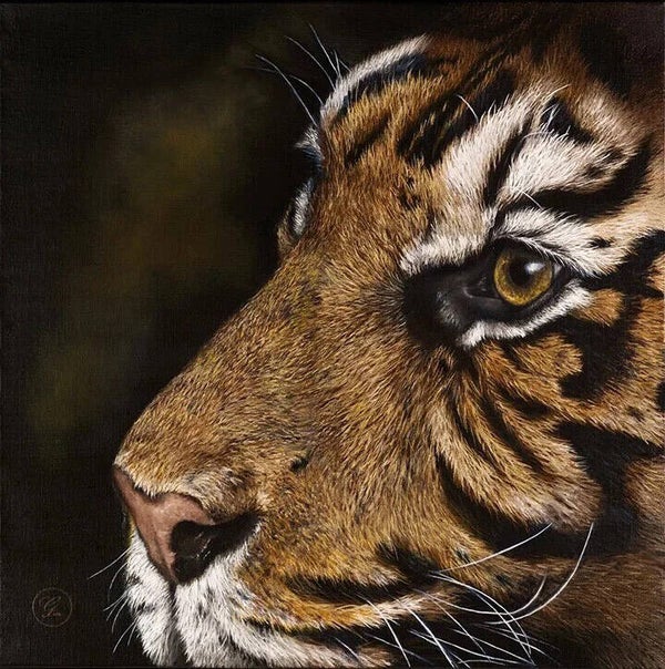 Tommy de tijger | origineel olieverf schilderij