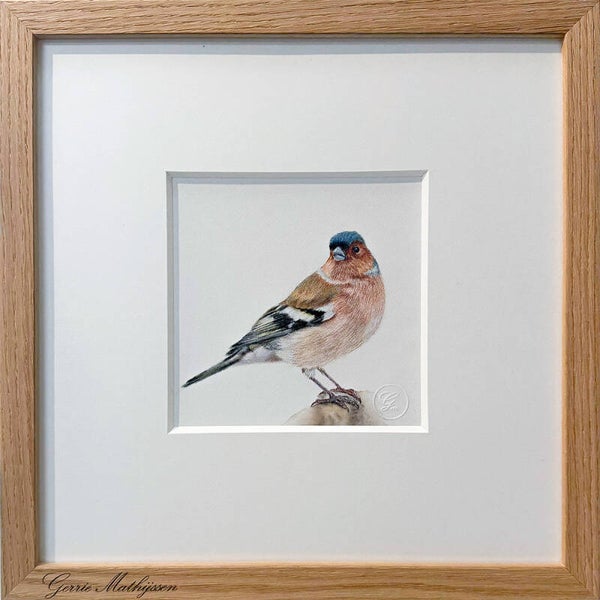 Vinkje | Potlood tekening