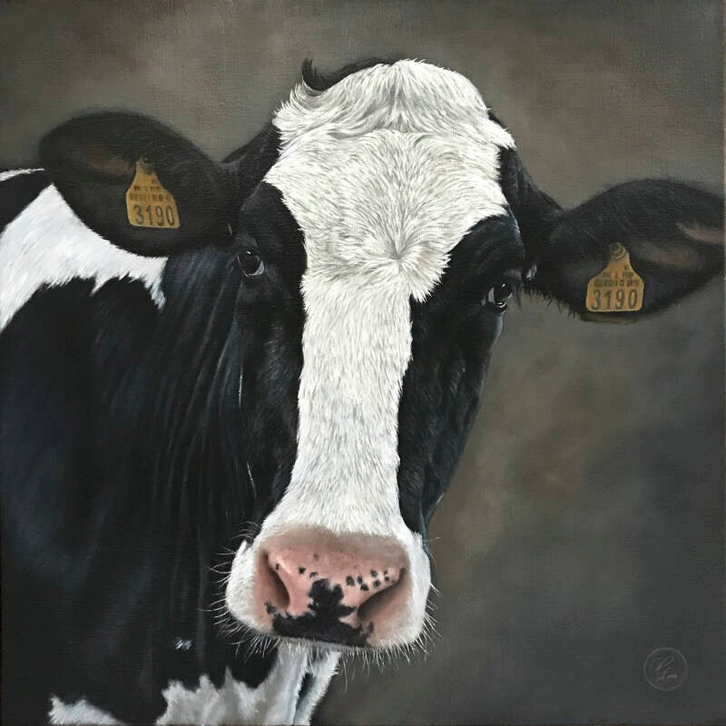 50x50cm | VERKOCHT