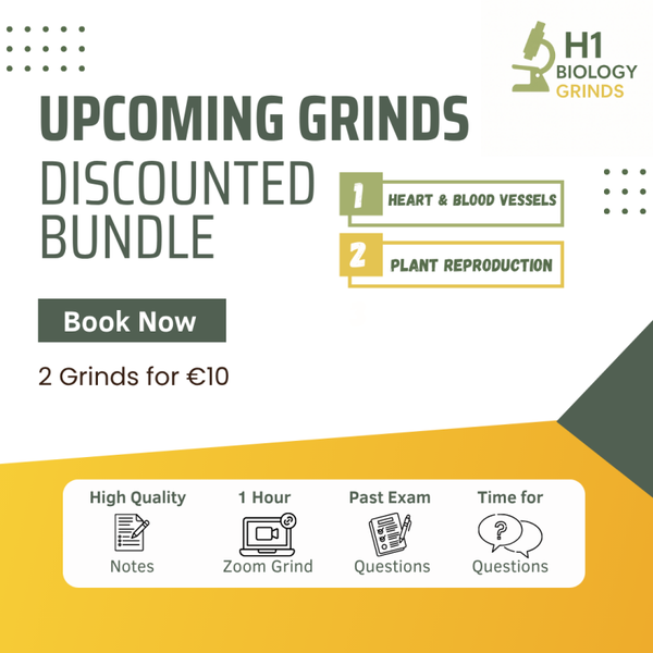 Grinds Discounted Bundle (2 Grinds)