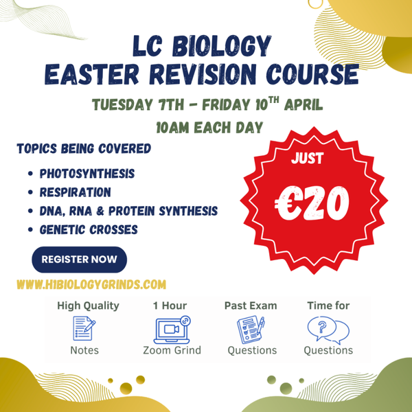 Easter Revision Course