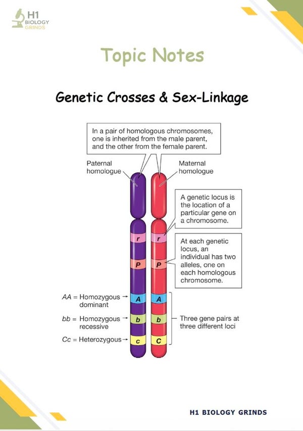 Genetics 2 Grind (Recording & Notes)