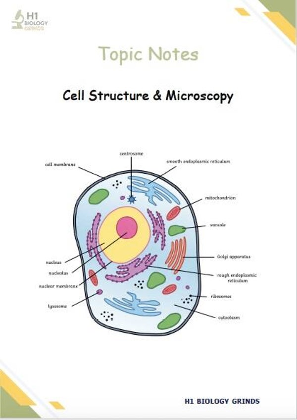 Cell Structure & Microscopy Notes