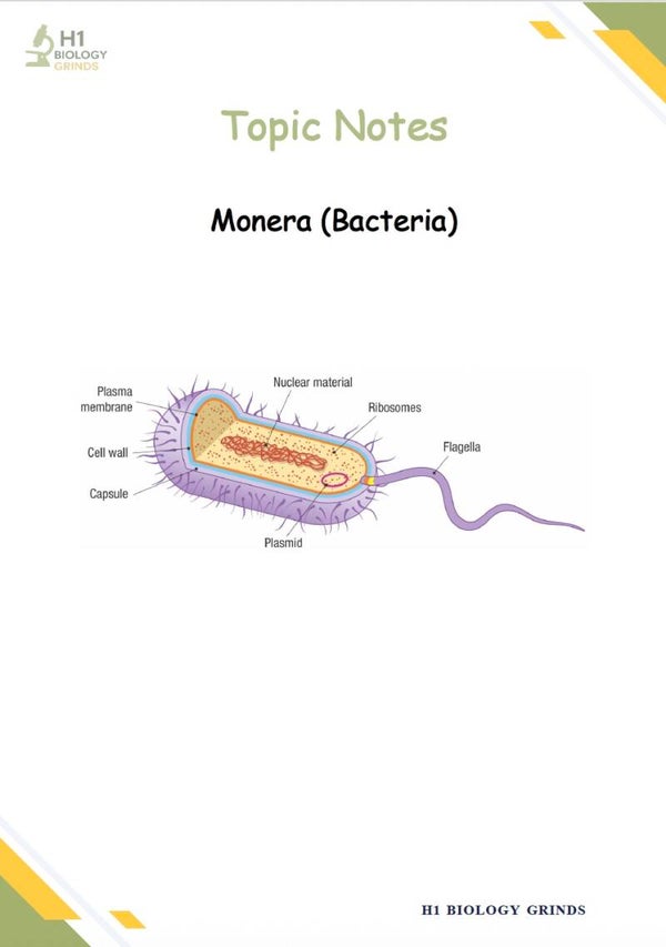 Bacteria Grind (Recording & Notes)