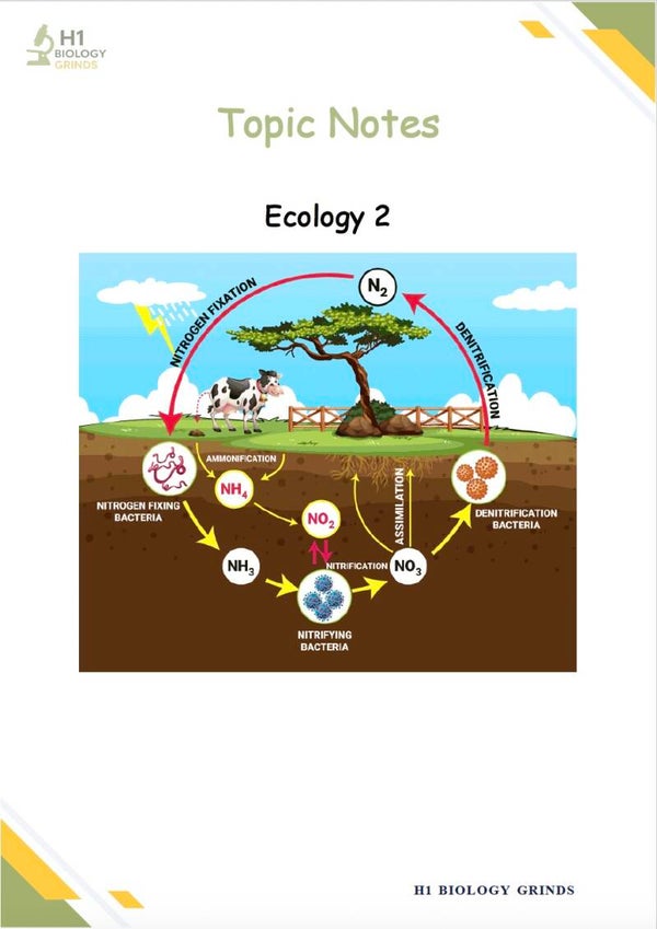 Ecology 2 Notes