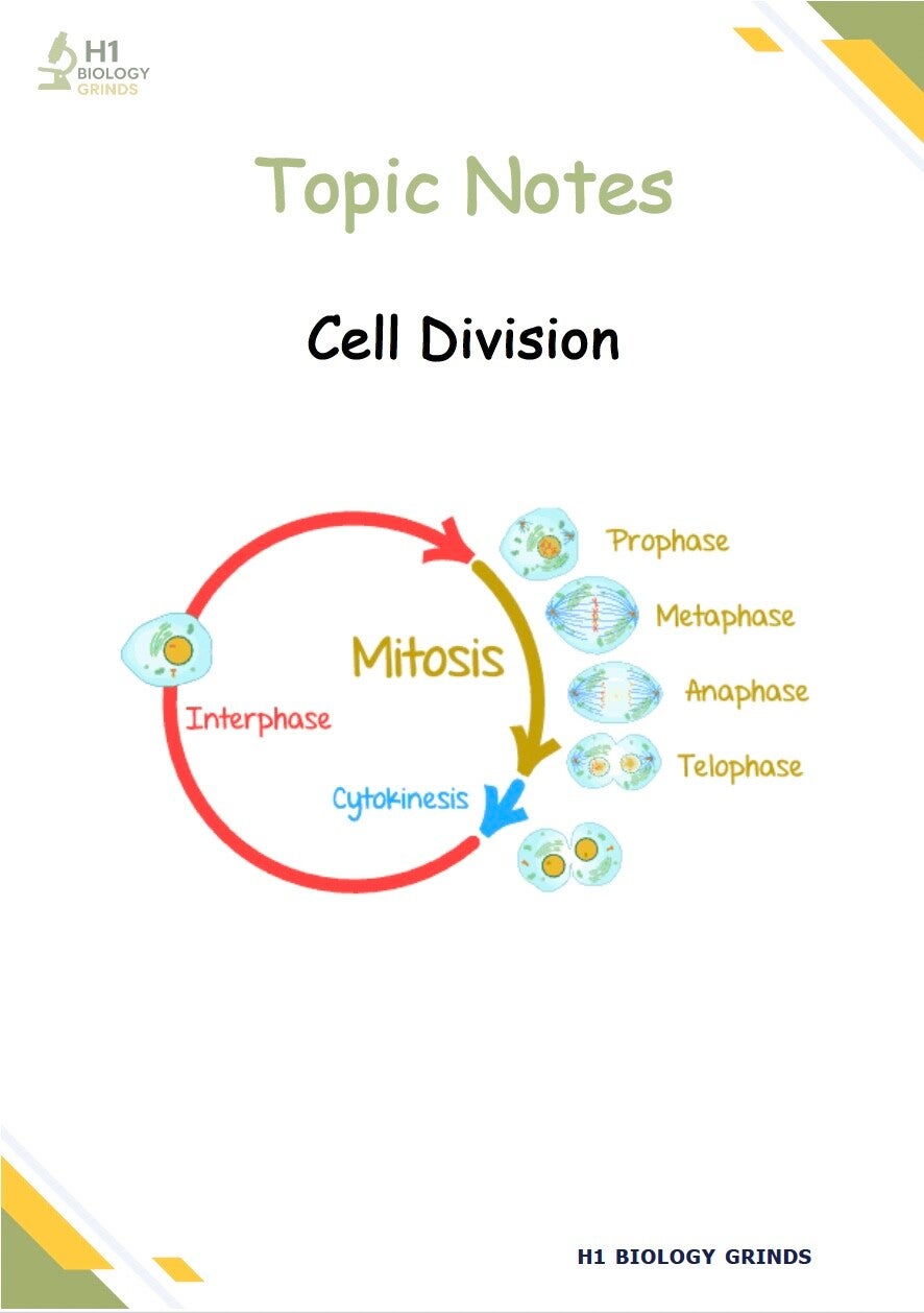 Cell Division Grind (Zoom Recording & Notes)
