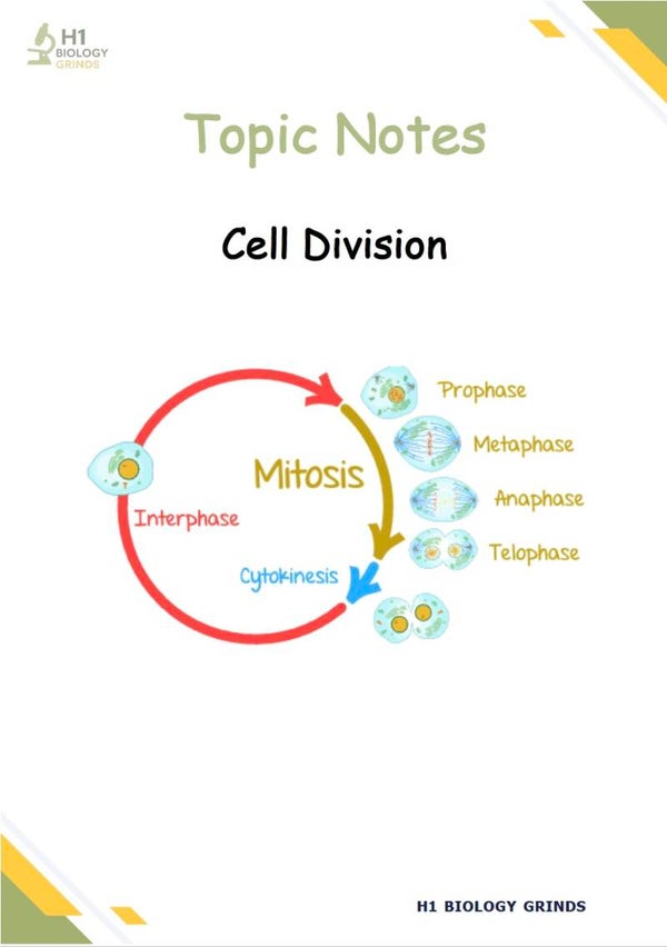 Cell Division Notes