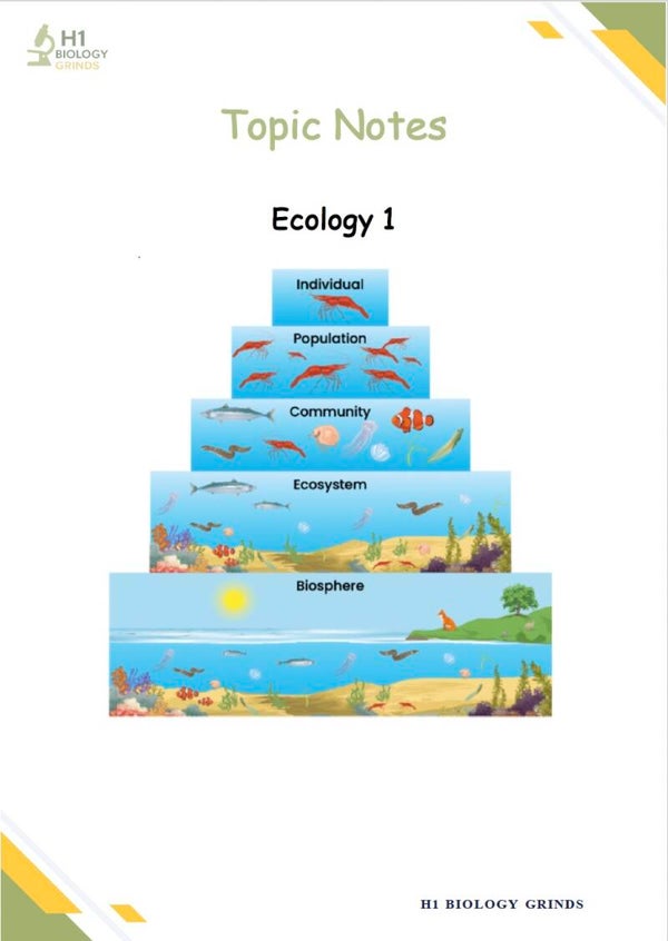 Ecology 1 Notes
