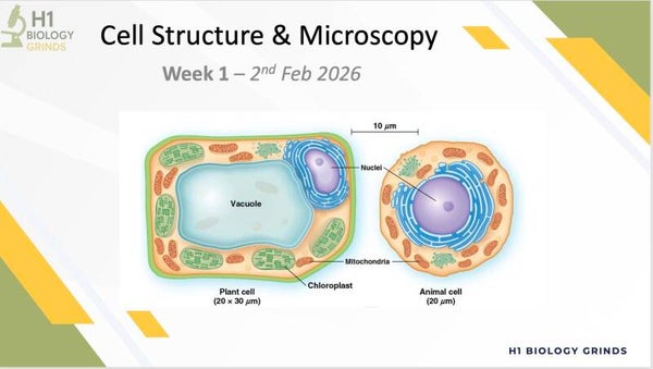 Cell Structure & Microscopy Revision PPT