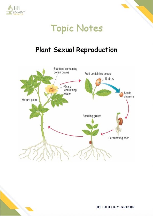 Sexual Reproduction in Plants Notes