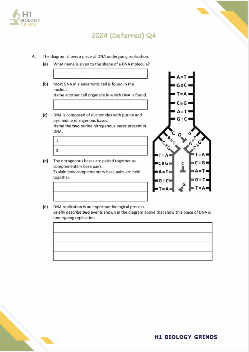img_7523-standard.png