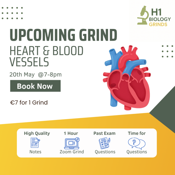 Upcoming Grind (20th May) - Heart & Blood Vessels