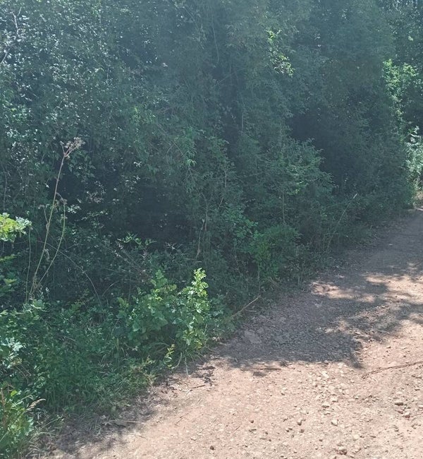 Ein Erschlossene Baugrundstück ab 3000m² Strand 3- 4km. FP 79.000E