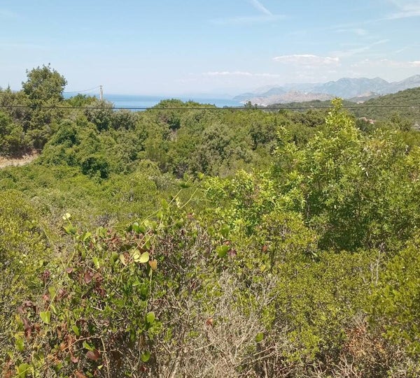 Baugrundstück 3000m2 Meer 1500m. Meerblick VB 165.000E