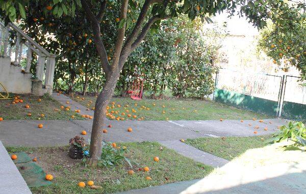 Ferienhaus am Meer 100m2, Grundstück 200 m², Sandstrand 1400m