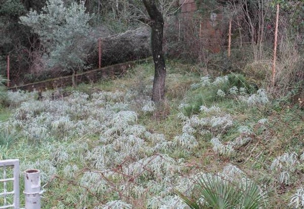 2St.Haus  100 m², Grundstück 270 m², Meer 900m