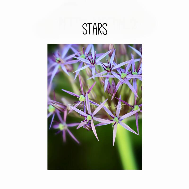 bazaart_48ee74c3-5545-49bc-bda1-4f7a737572eb-standard-4jbf4n.jpg