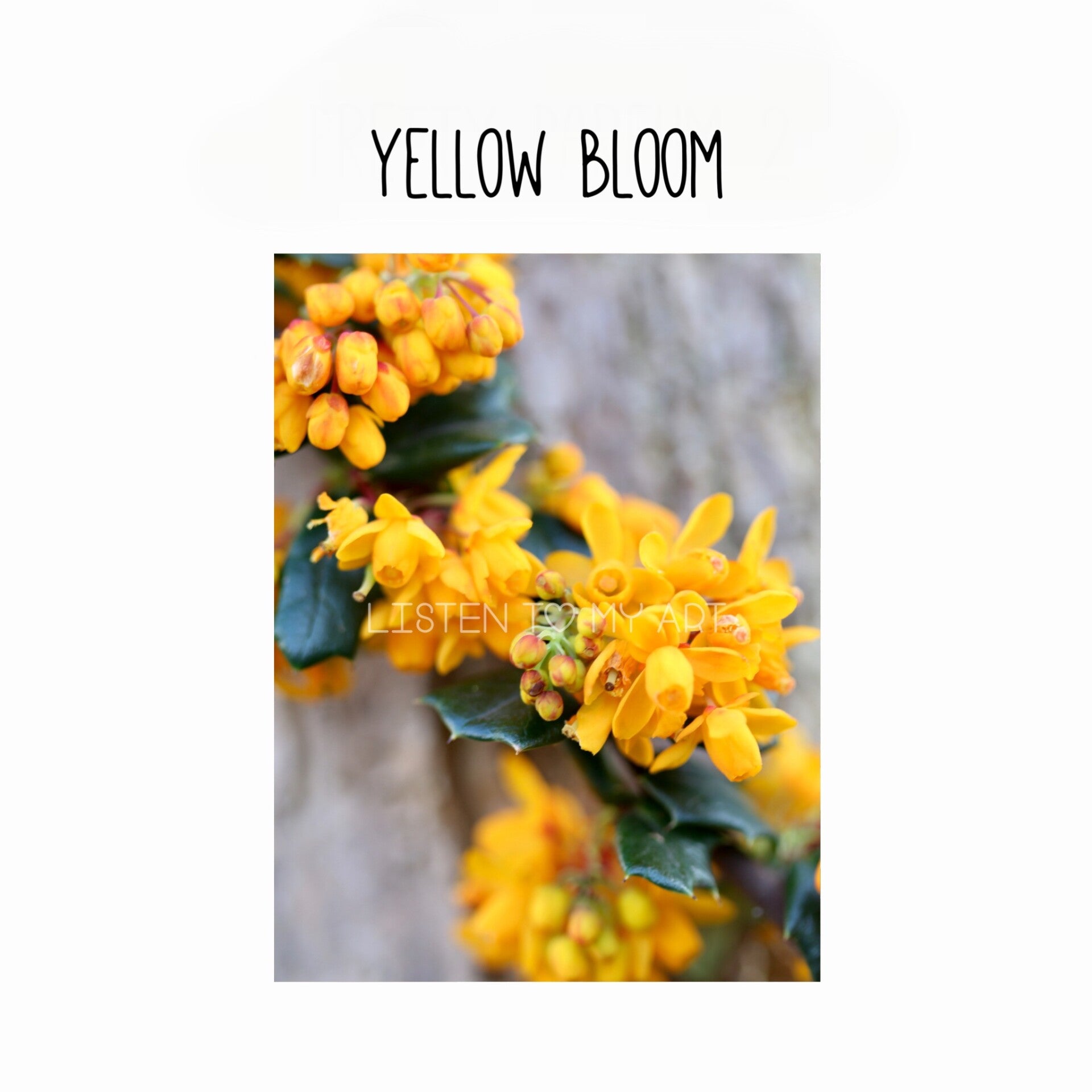 bazaart_8537bb64-d081-4158-907c-fcaae8bf1620-standard-0kk9ui.jpg