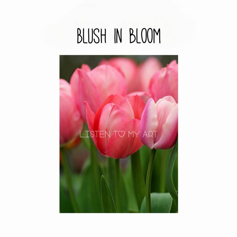 bazaart_d691b062-da49-46c2-ba2d-74be0a2c793a-standard-yj5jfn.jpg