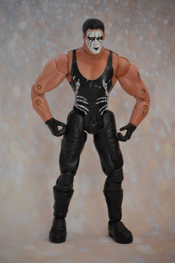 TNA WWF/WWE Sting Wrestling Action Figure