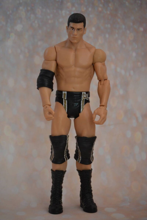 WWE Cody Rhodes Wrestling Action Figure