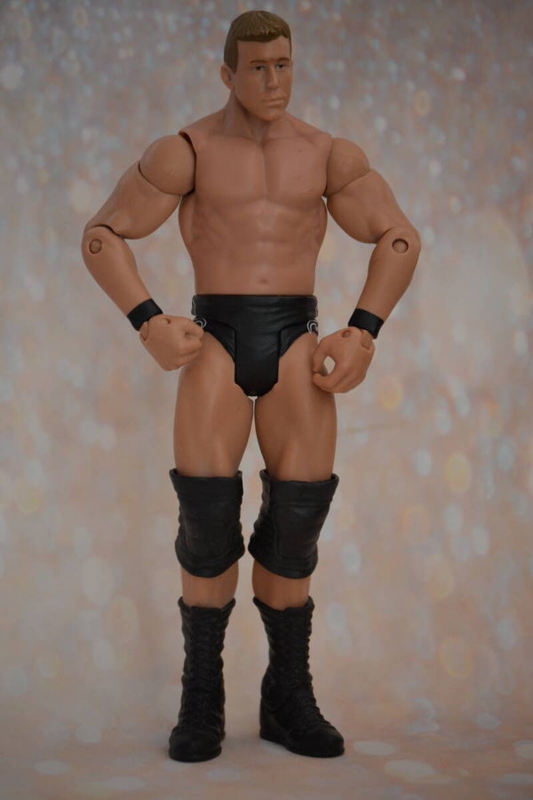 WWE Ted DiBiase