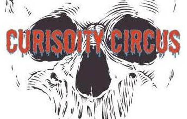 Instant Art -Skull, Curiosity Circus