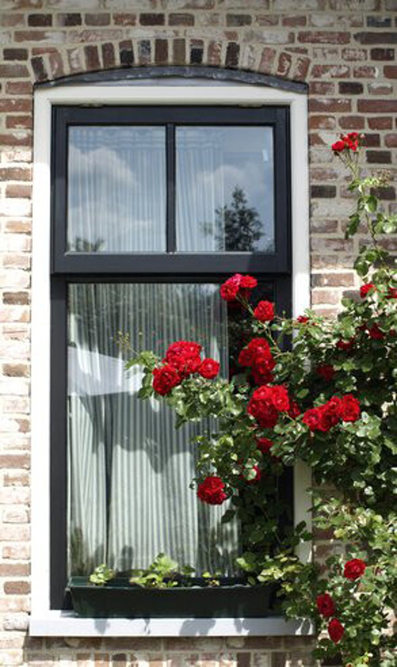 Woonboerderij, landelijk, landleven bij B&B / vakantiehuisje Logement Onder de pannen Ruinerwold. Drenthe