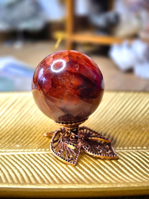 Red healer bol 5+ cm