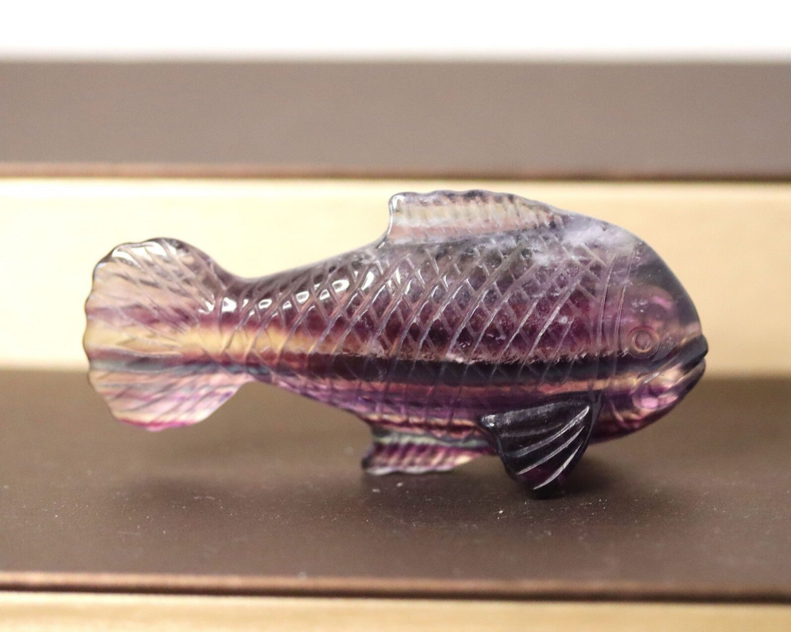 Vis van fluoriet / candy fluorite