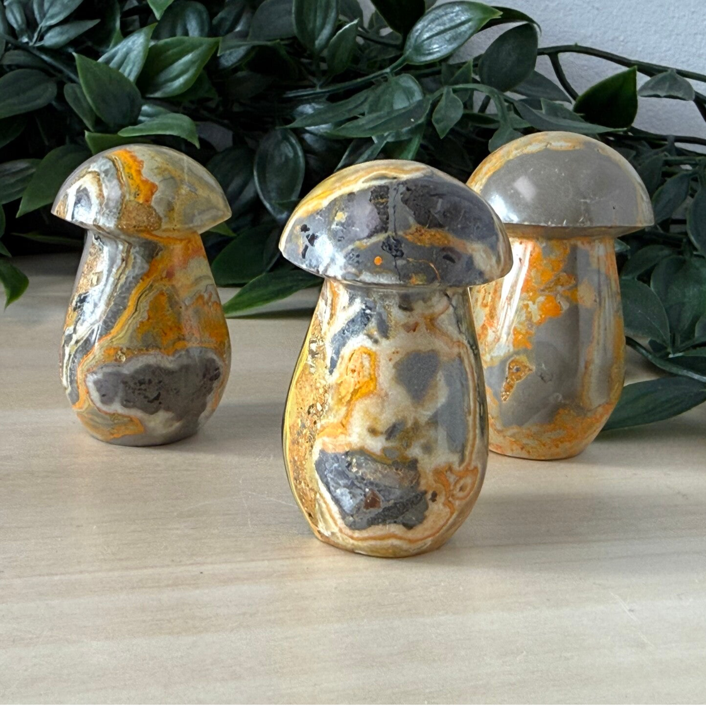 Drie Bumble Bee Jaspis paddenstoelen