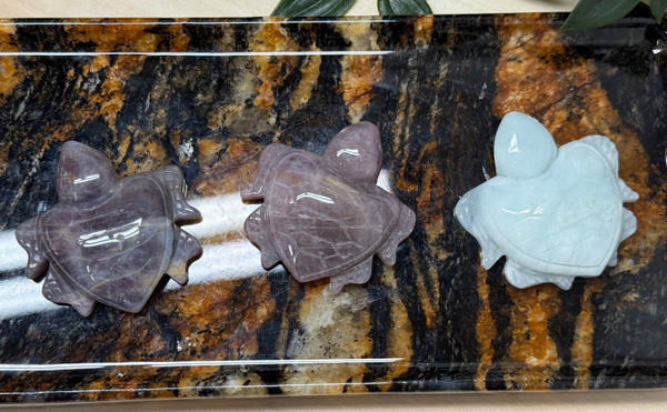 Oceaan jasper en aquamarijn schildpad