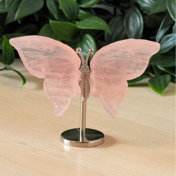 Vlinder rozenkwarts