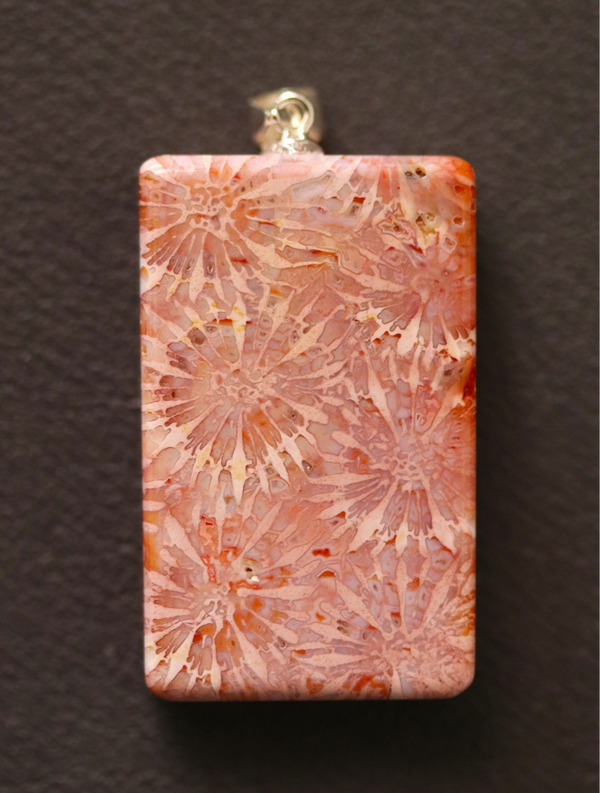 Fossiel koraal hanger 1